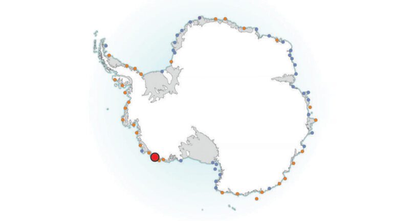 Scientists Discover Emperor Penguin Colony In Antarctica Tomorrow S