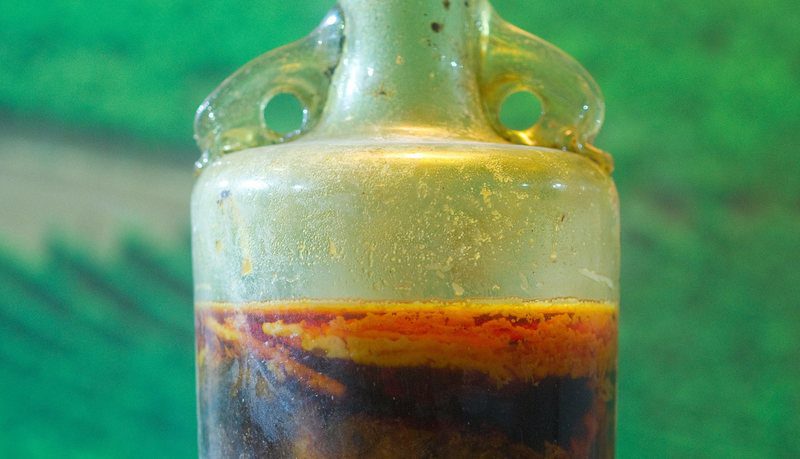 oldest bottle of wine