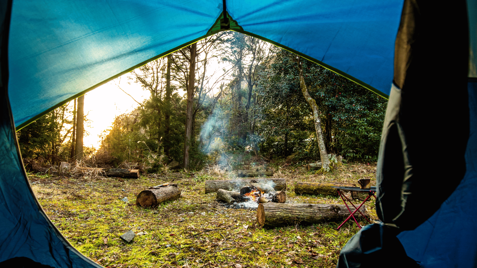 Camping in the summer