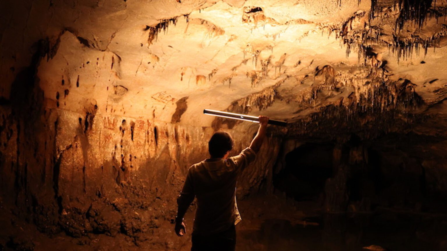 Researchers Uncover A Cave Of Paleolithic Art - TOMORROW’S WORLD TODAY®