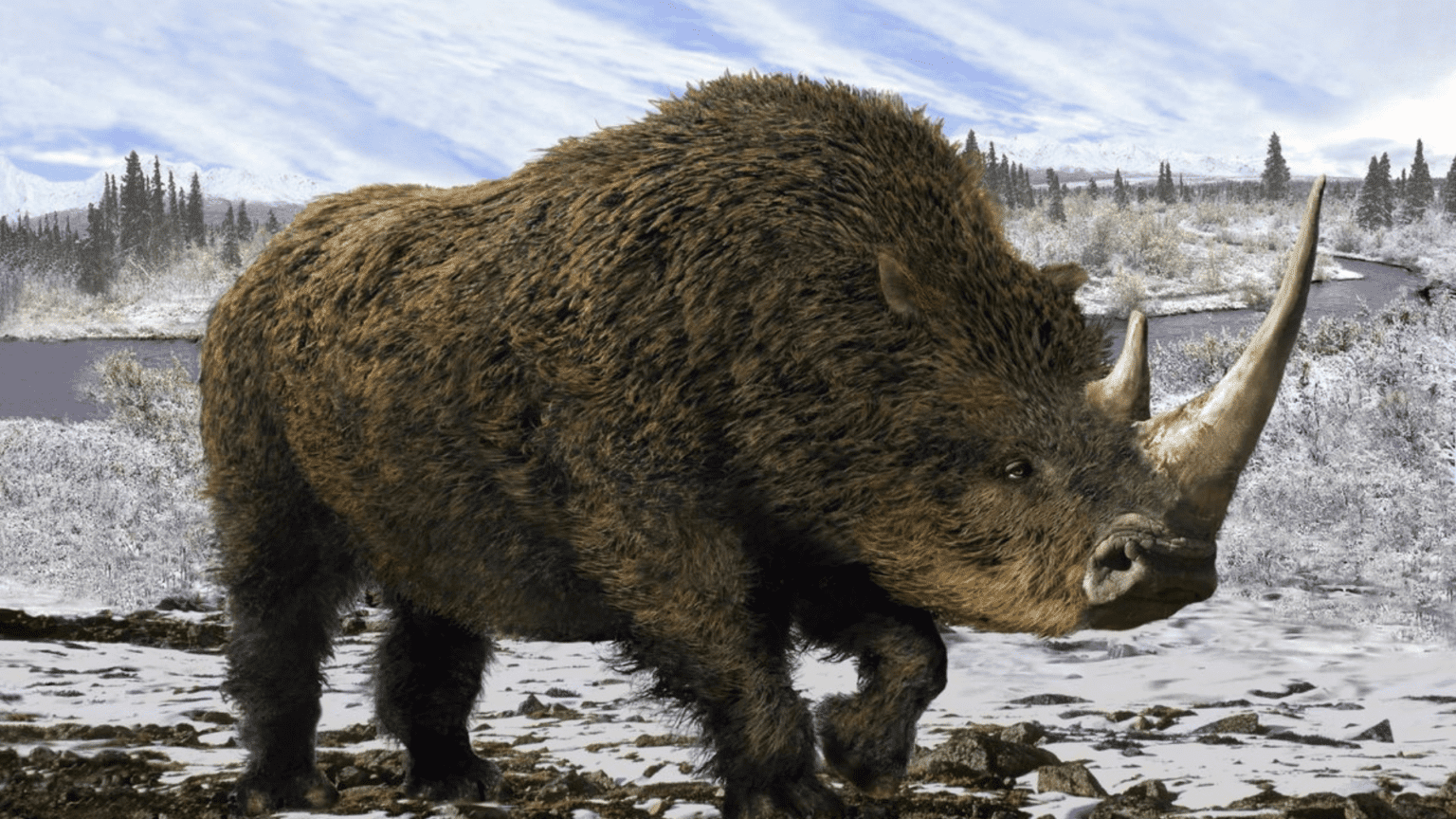 Woolly Rhino DNA Reconstructed from Fossilized Hyena Poop - TOMORROW’S