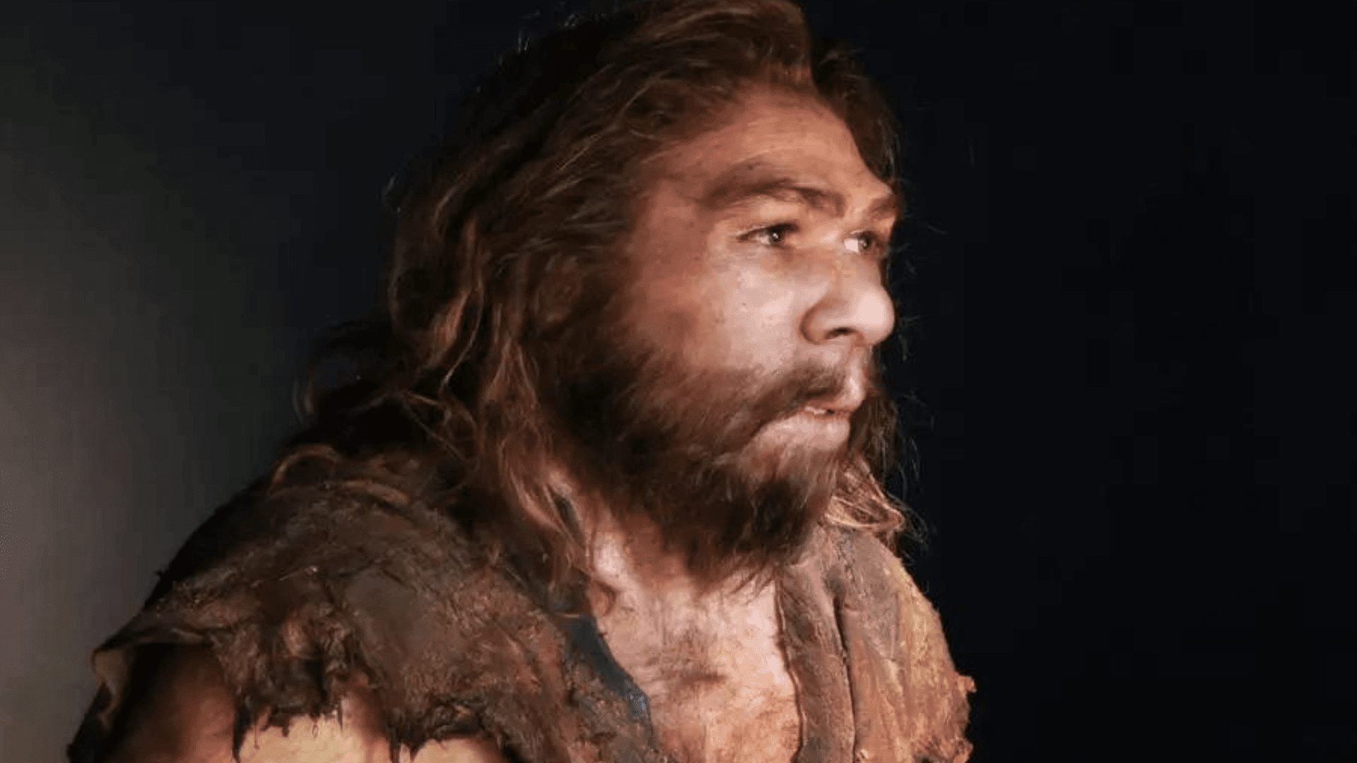 Neanderthals were affected by some of the same viruses as modern humans S. ENTRESSANGLE:E. DAYNES:SCIENCE PHOTO LIBRARY