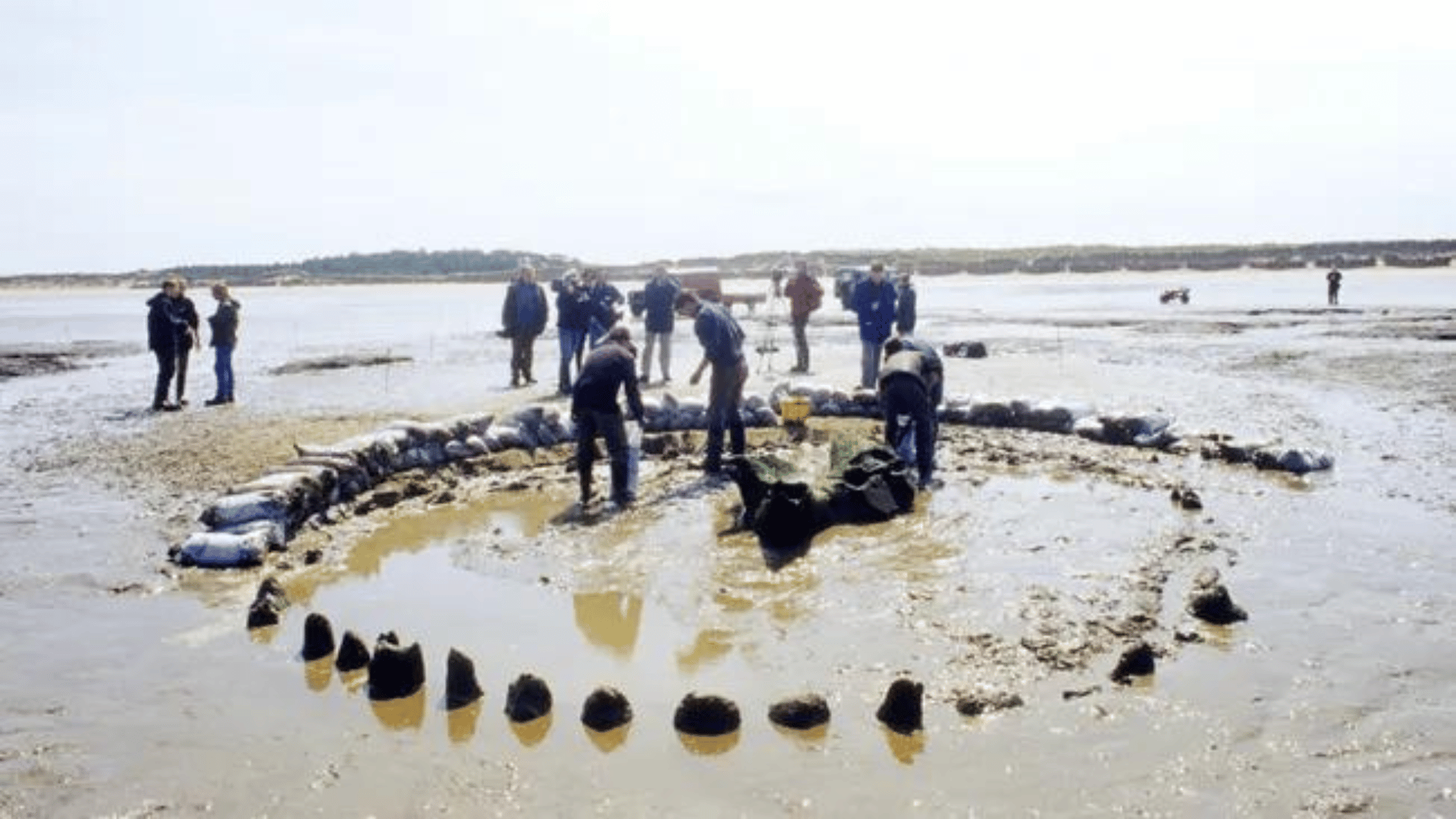 Seahenge, was built in 2049 B.C. It was excavated from a salt marsh near a beach on England's east coast in 1999. (Image credit: Holmes Garden Photos:Alamy)