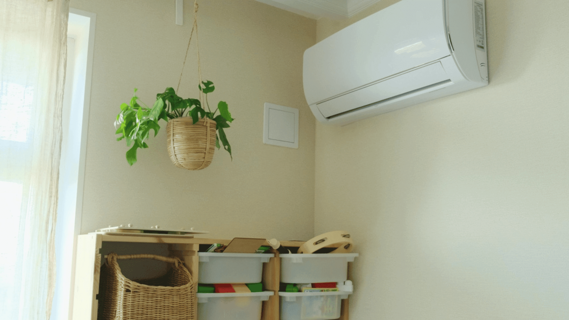 Protecting Houseplants from Air Conditioning