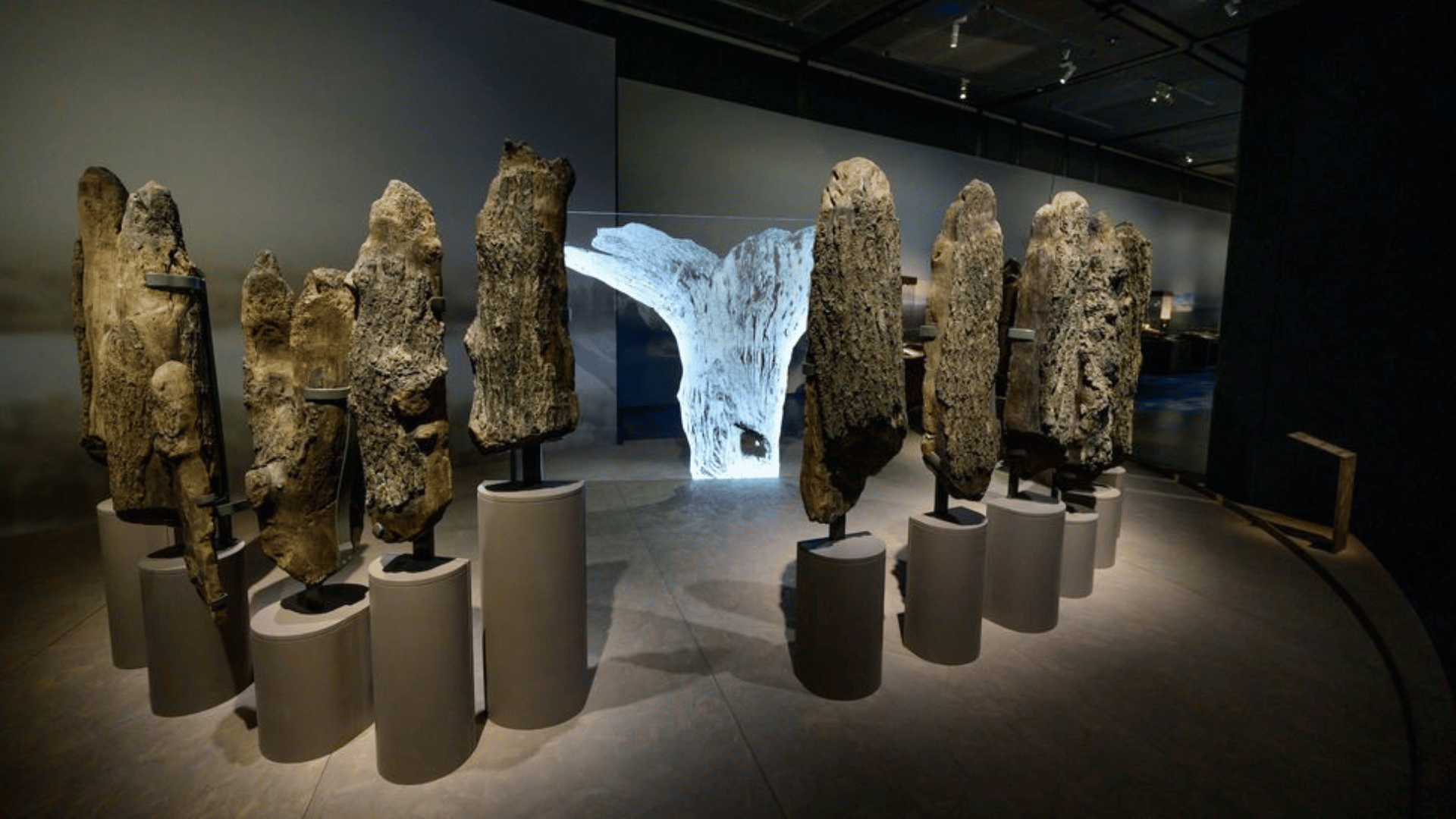 The 4,000-year-old excavated remains of Seahenge on display. (Image credit: Malcolm Park:Alamy)