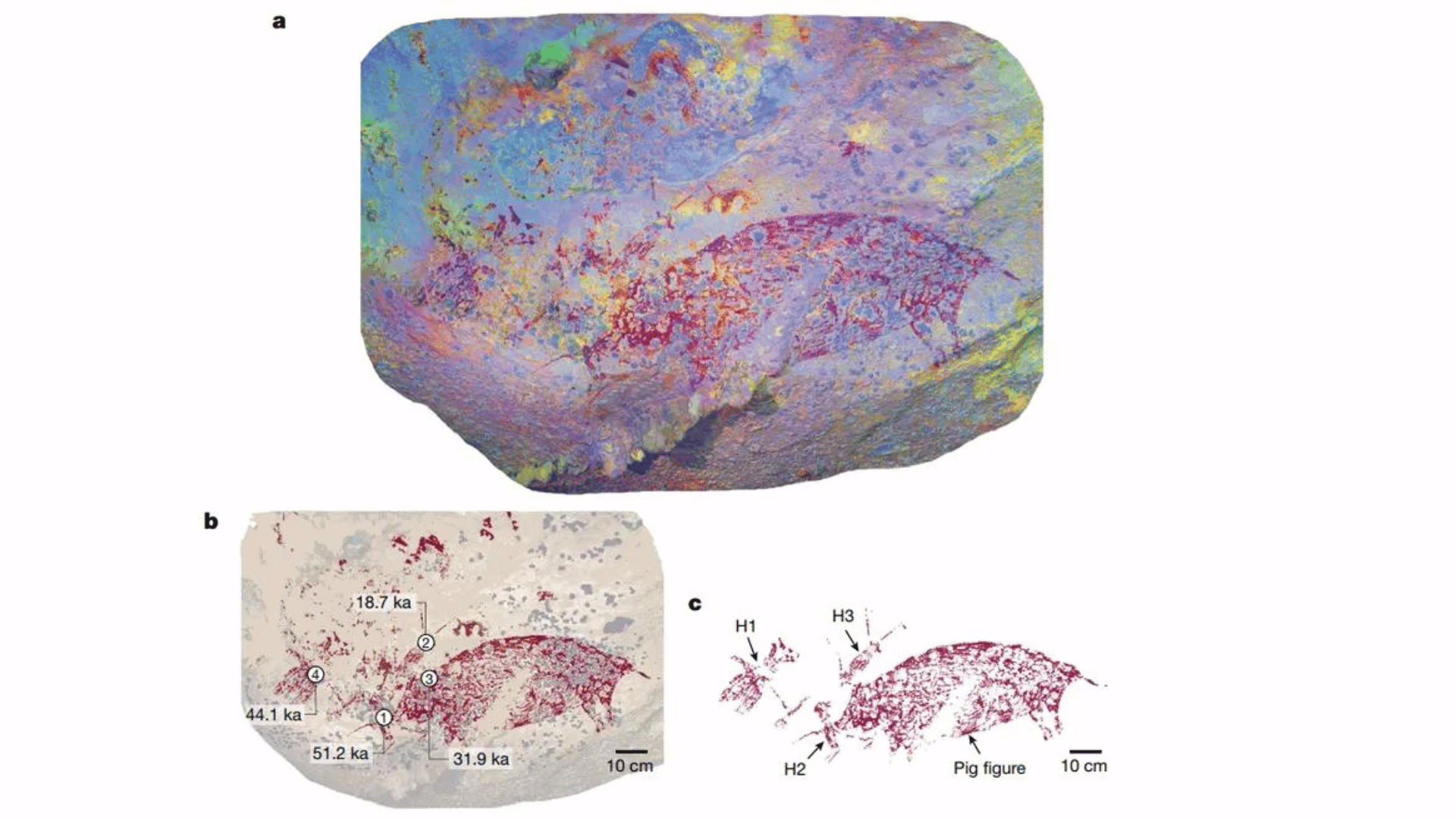 Imaging of the rock art panel at Leang Karampuang showing three human-like figures interacting with a pig. Image credit: A A Oktaviana et al:Griffith University:Nature 2024