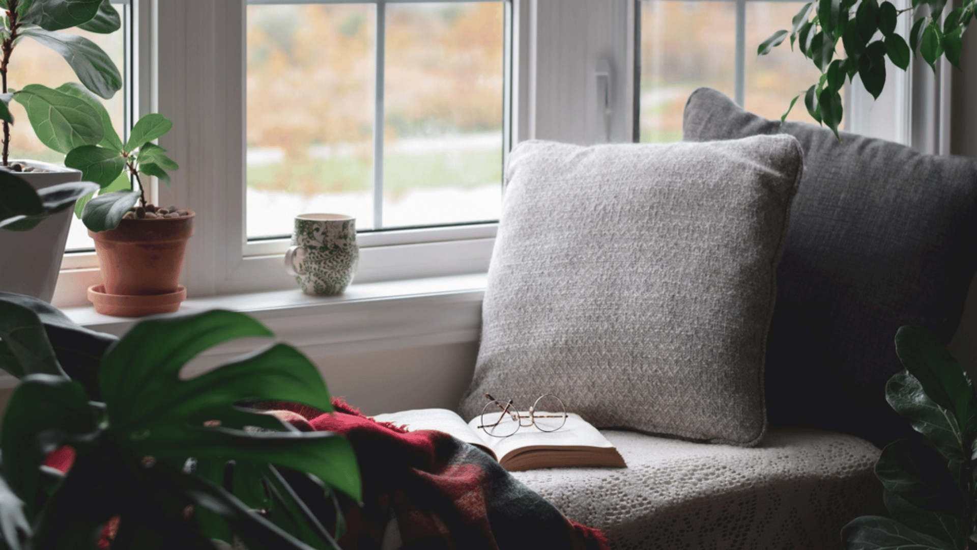 Reading by the window natural lighting power usage