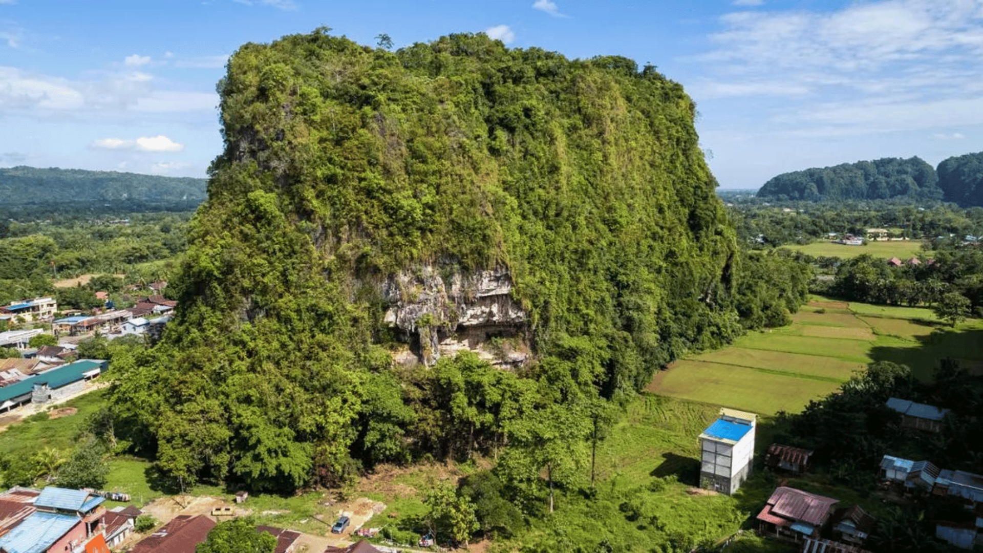 The rock painting was discovered in the Leang Karampuang region of Maros-Pangkep in South Sulawesi, Indonesia Image credit: Google Arts & Culture