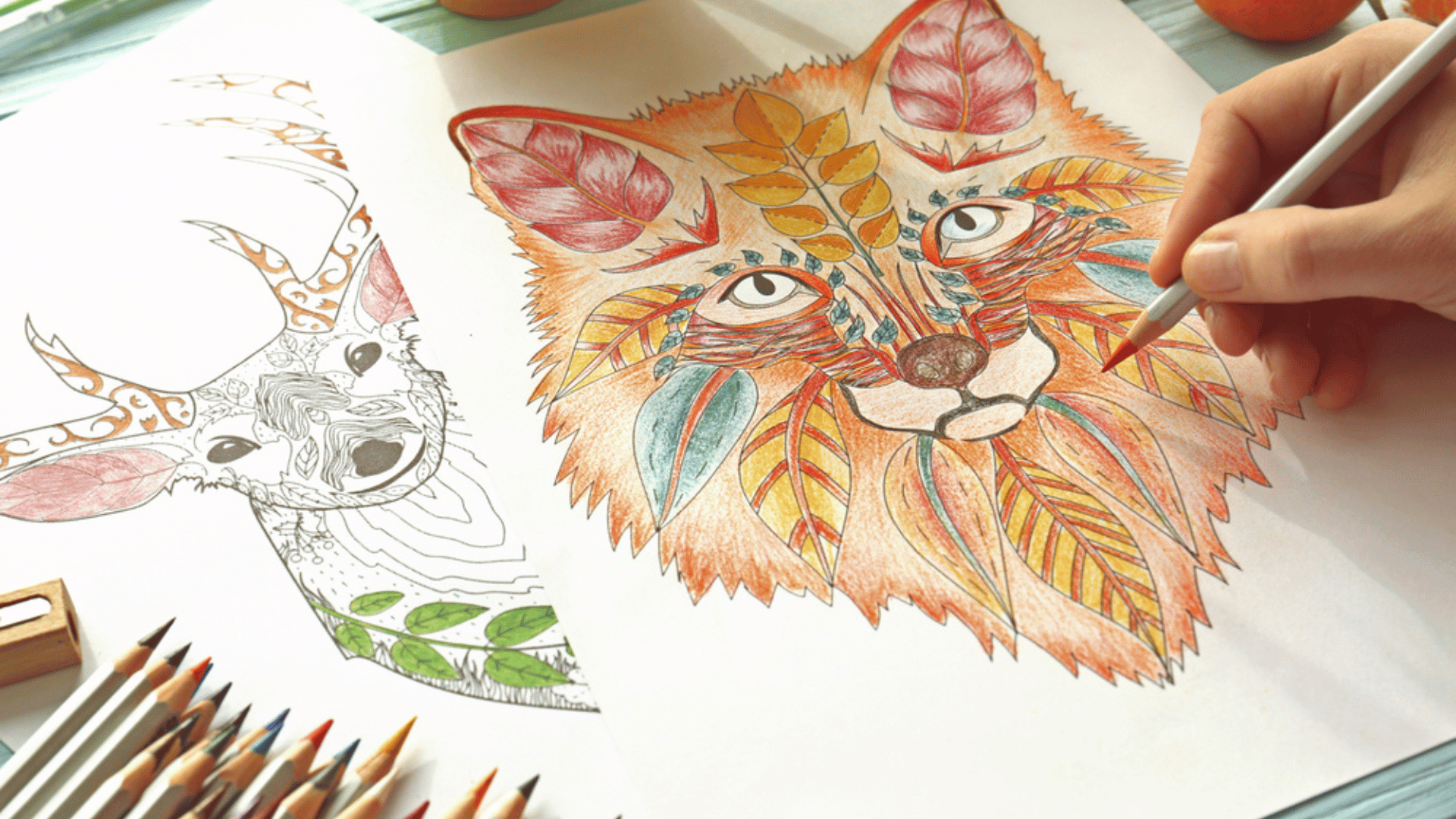 Animal Drawings Coloring Book Health Benefits Anxiety