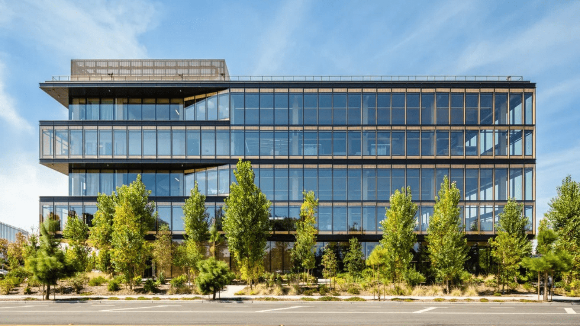 Google Unveils Sustainable and Durable Mass Timber Office