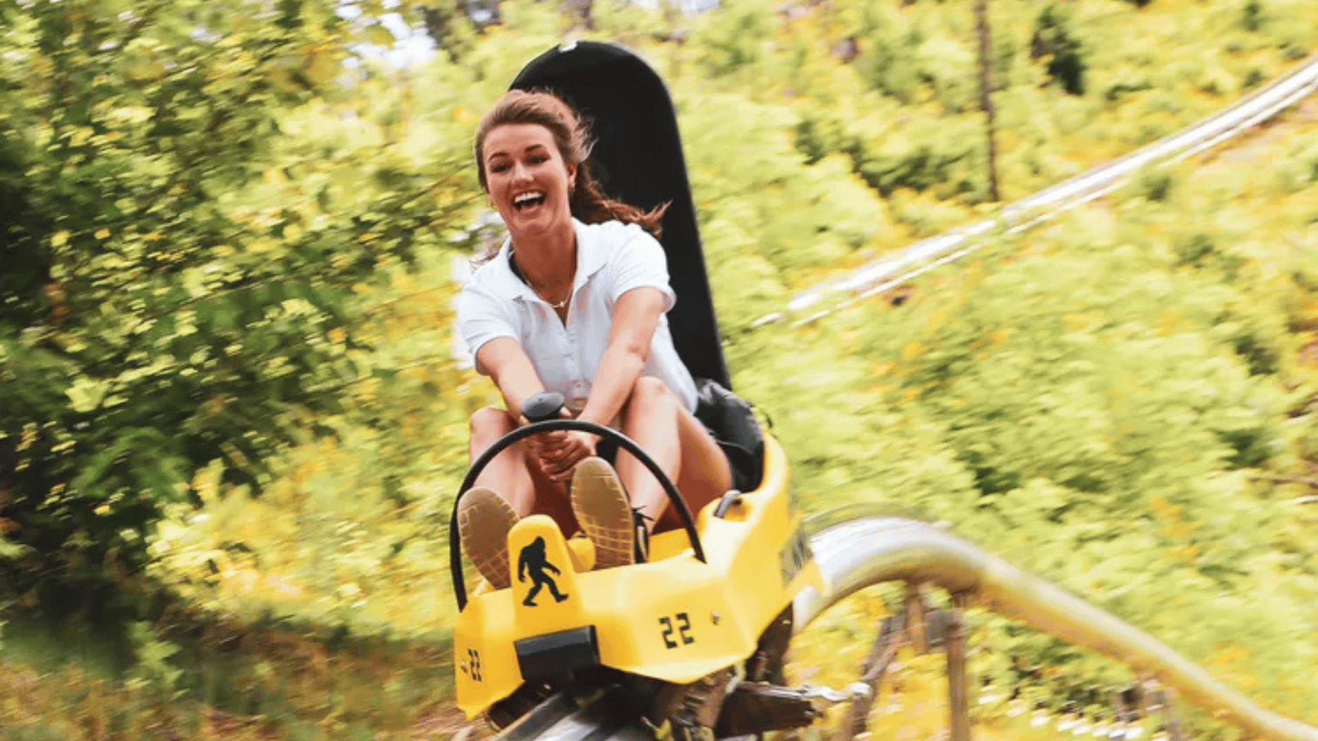 Rail Runner Mountain Coaster; Photo: Anakeesta