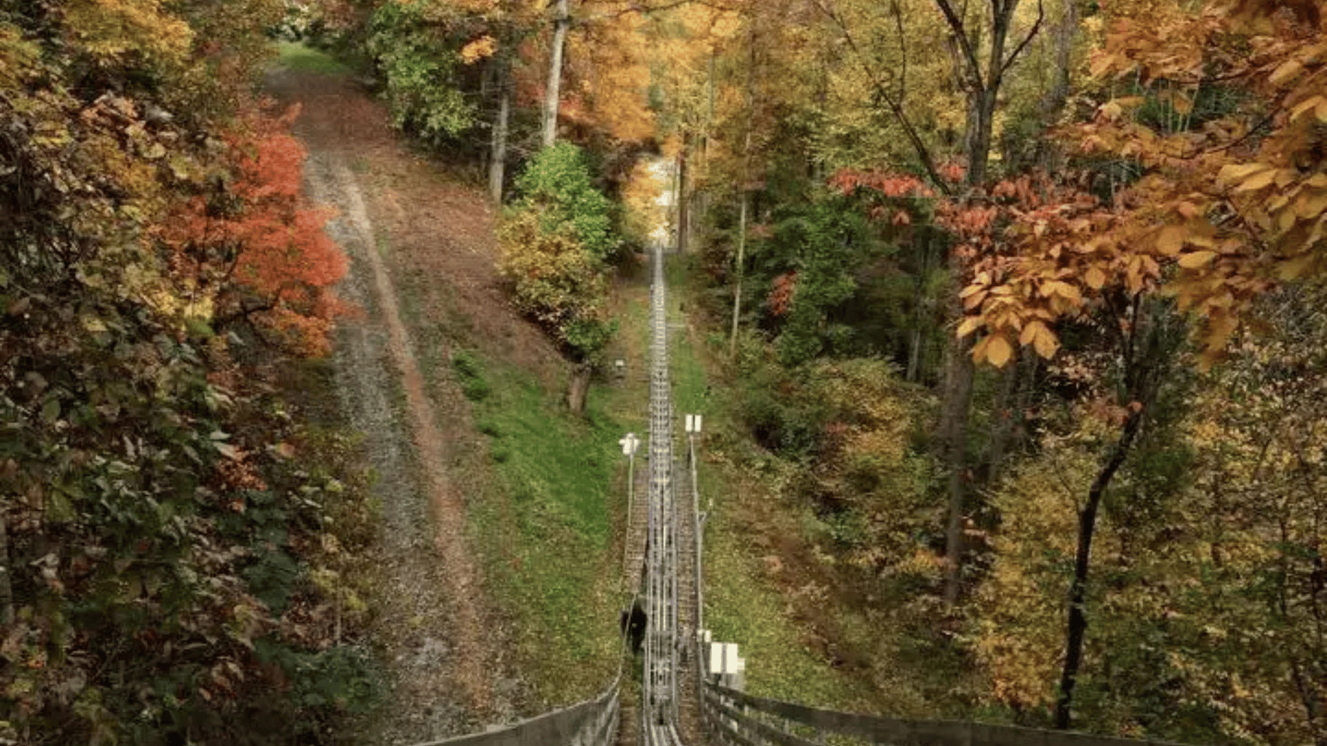 Smoky Mountain Alpine Coaster; Photo: Smoky Mountain Alpine Coaster