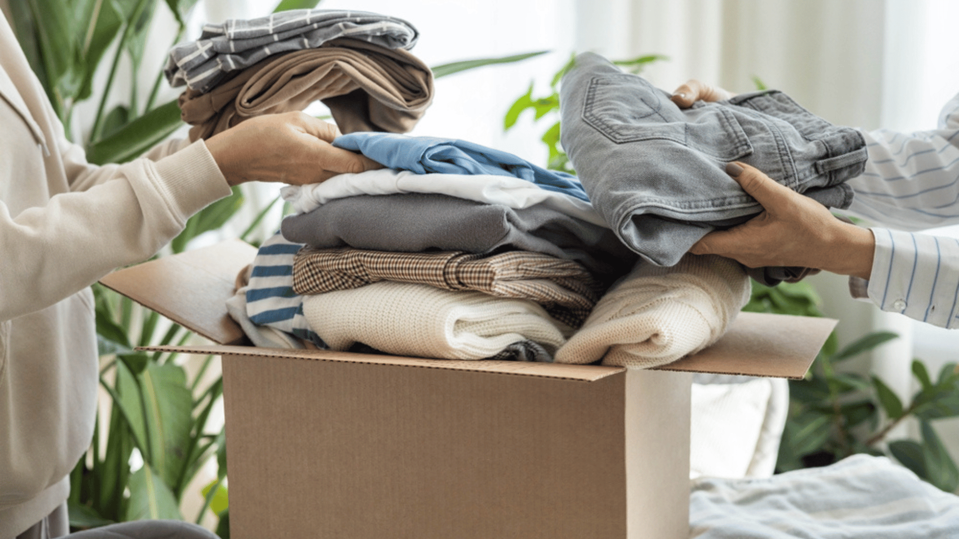 Donate to resale stores and shop sustainably