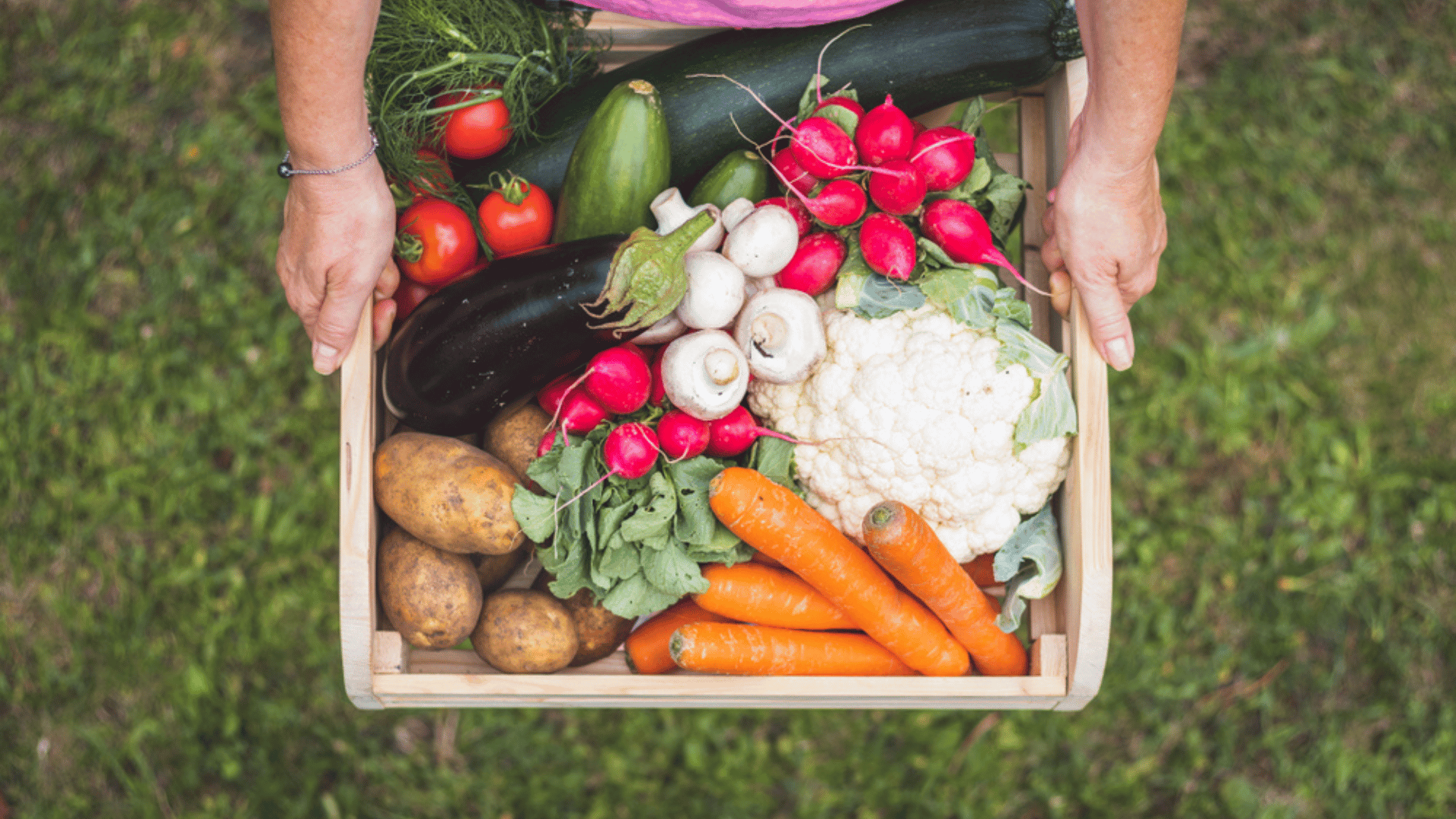 Homegrown veggies Photo: Shutterstock:encierro