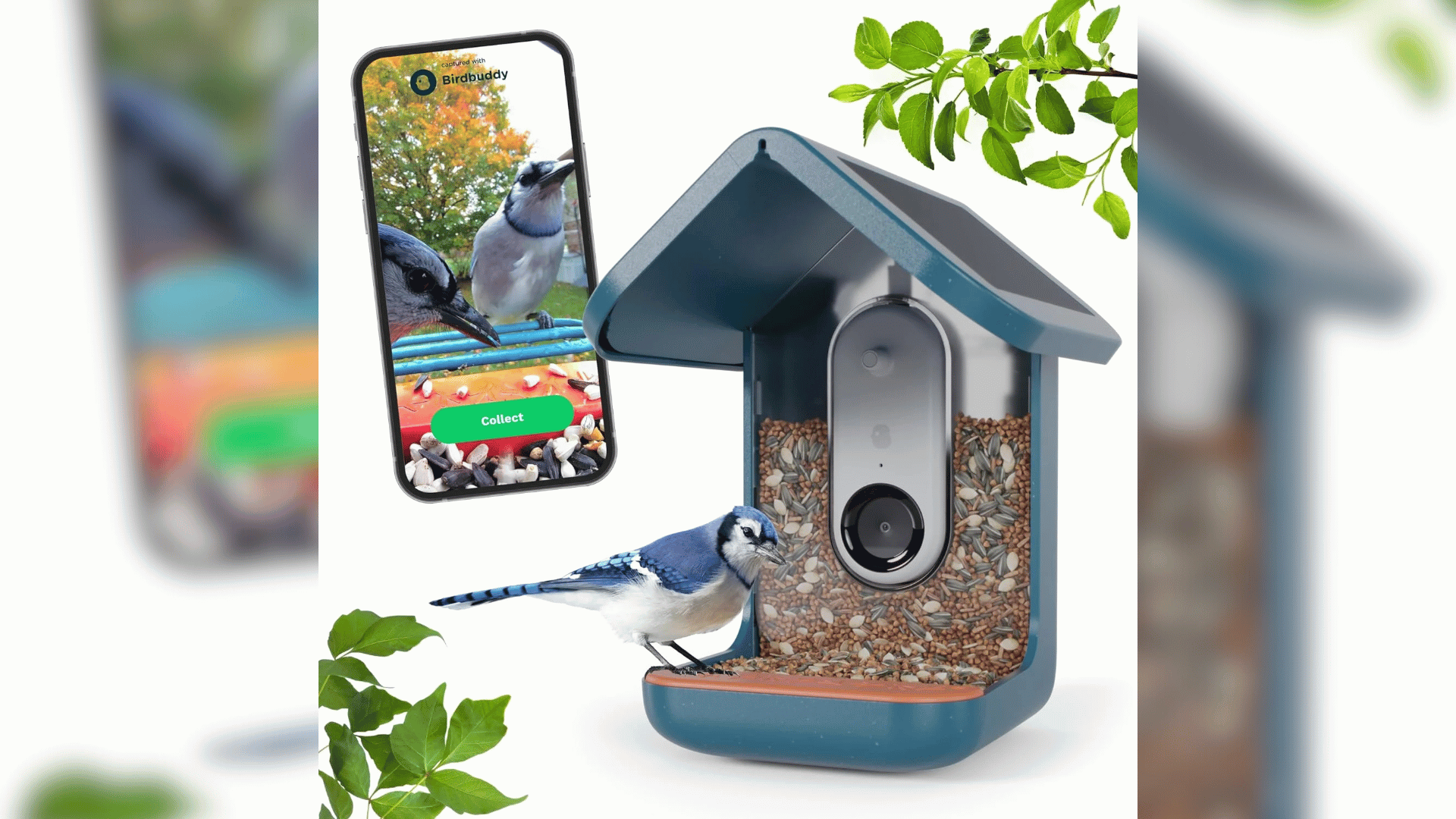 Smart Bird Feeder; Photo: Walmart