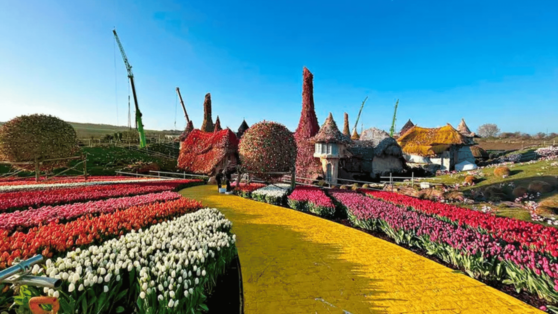 The set of Munchkinland, featuring millions of tulips. Photo: Nathan Crowley