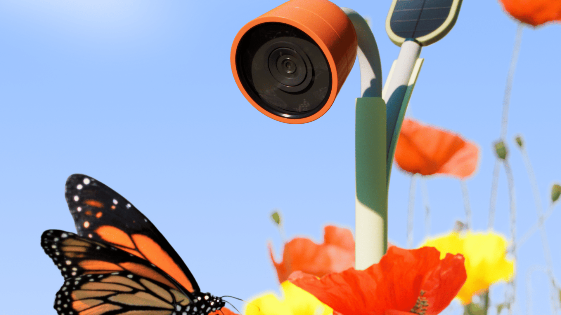 CES 2025: Bird Buddy Creators' Announce New Nature Tech Products; Photo: Wonder