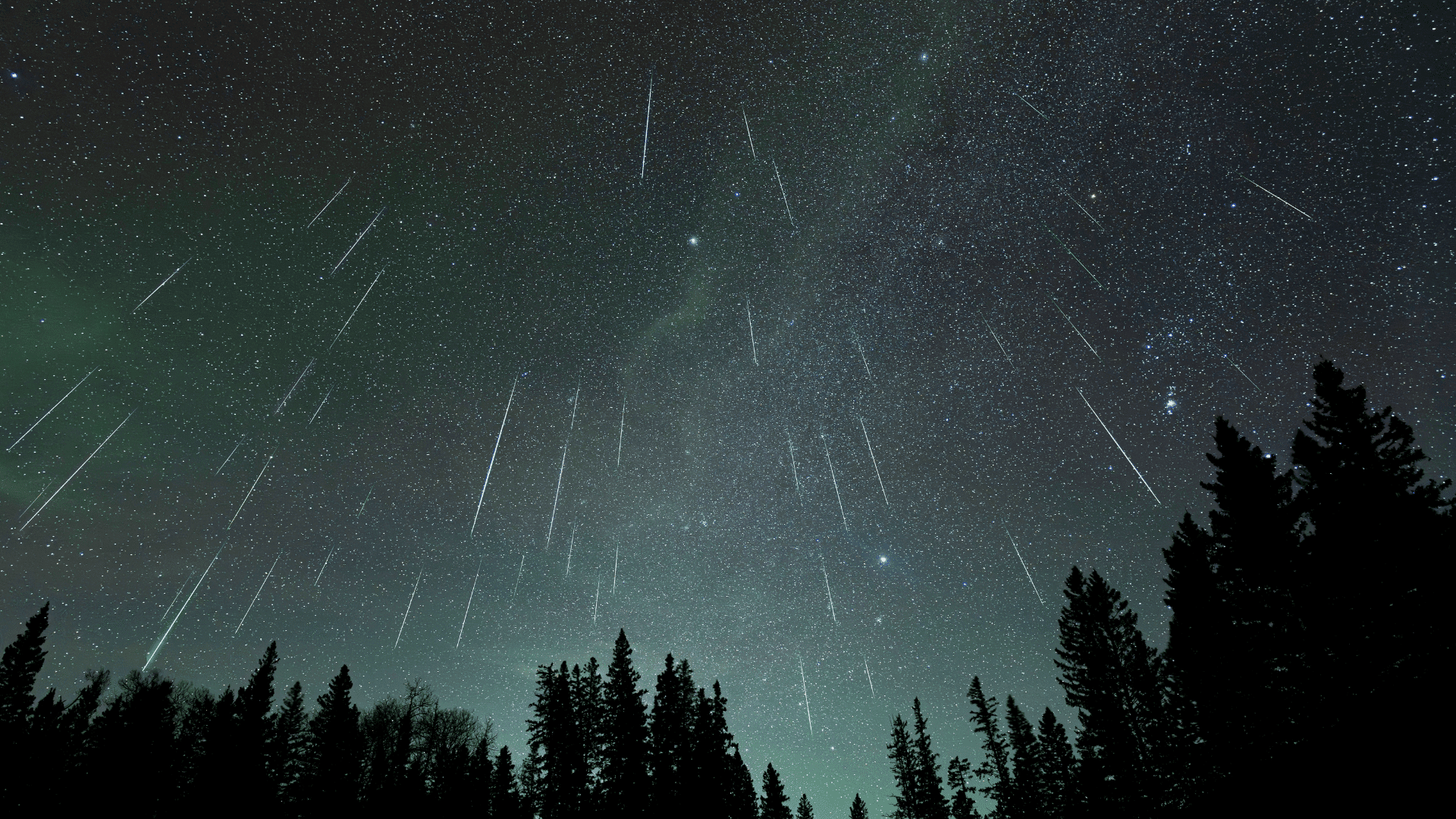 Meteor showers; Photo: Craig Taylor Photography:shutterstock