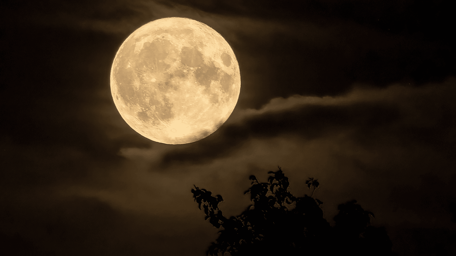 Supermoon; Photo: DigitalPearls:shutterstock