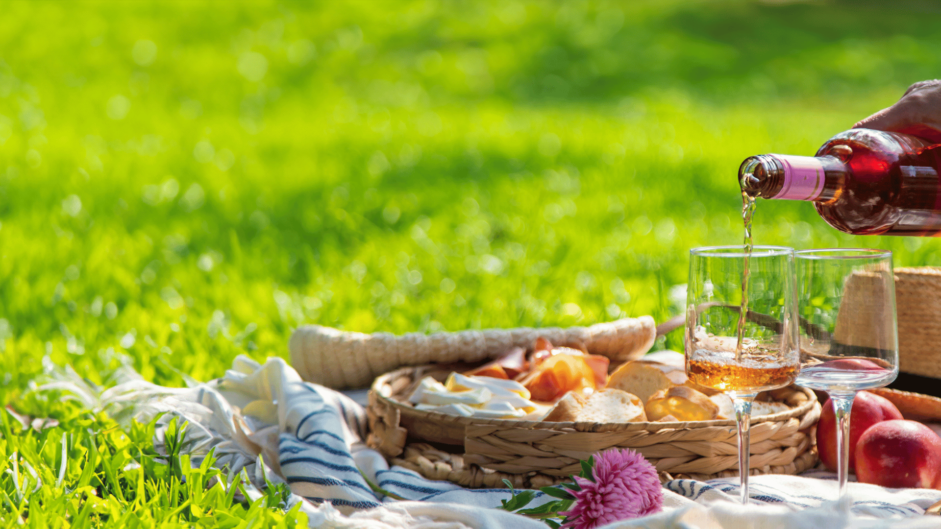 Picnic; Photo: Tatevosian Yana:Shutterstock