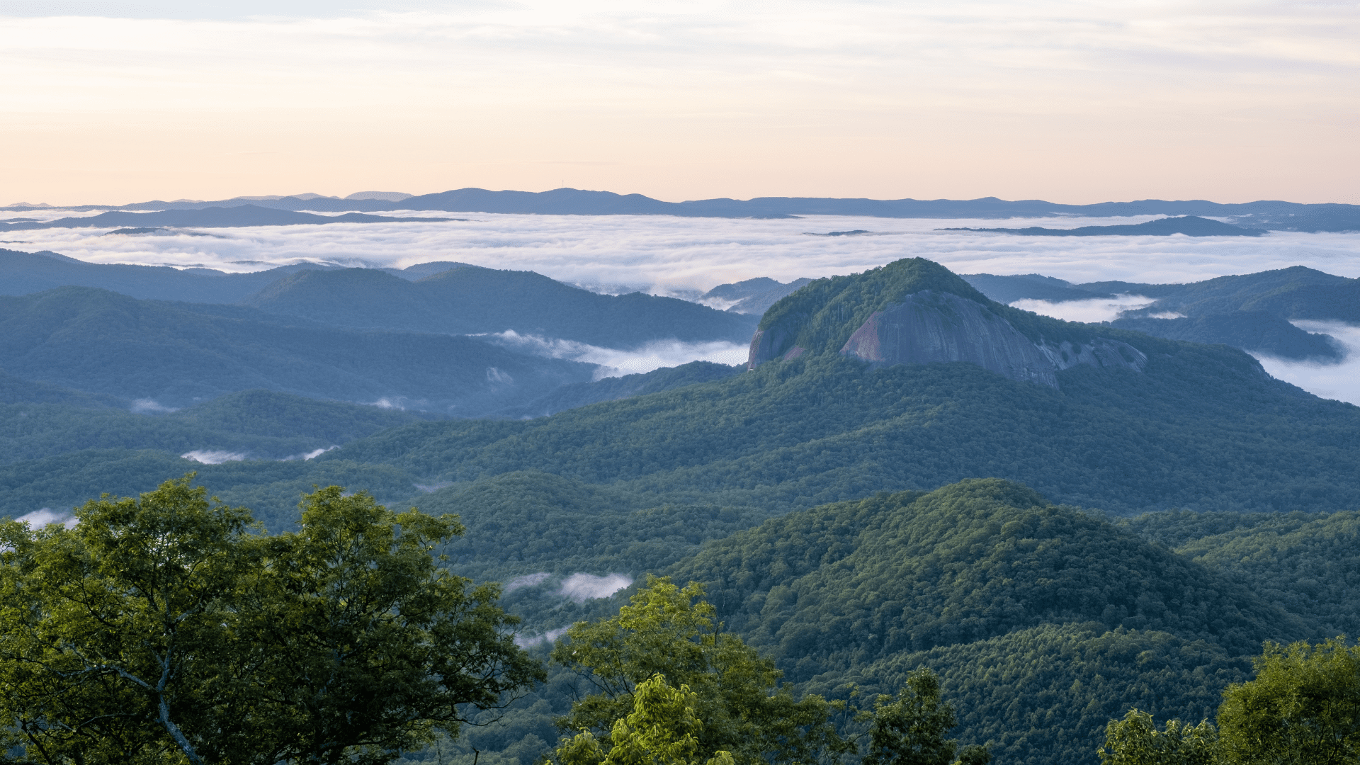 Pisgah National Forest